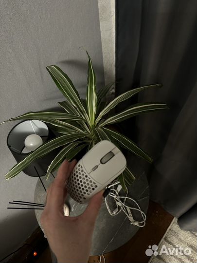 Наушники,клавиаитура,мышь,коврик