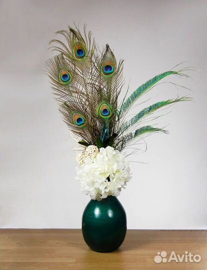 Перо павлина