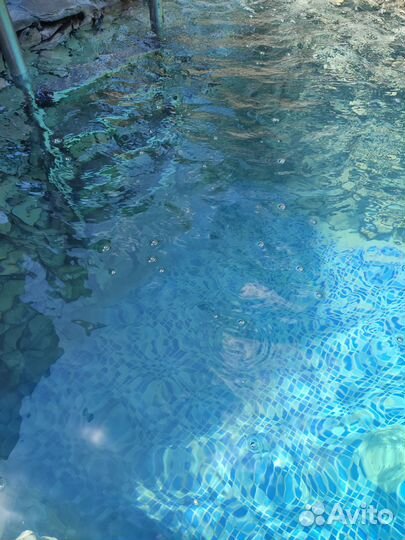 Омоложение Шунгито-Озоновыми Купелями