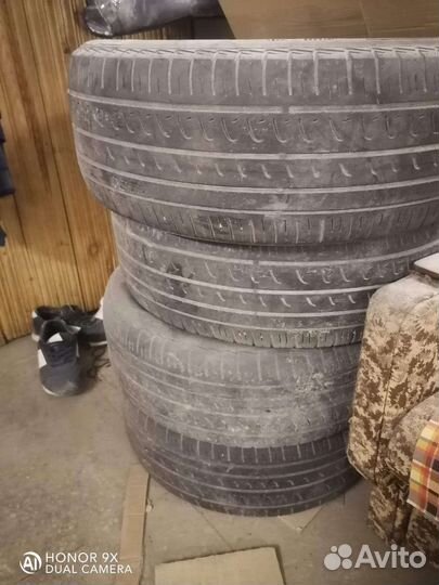 Pirelli Dragon 205/55 R16 91V