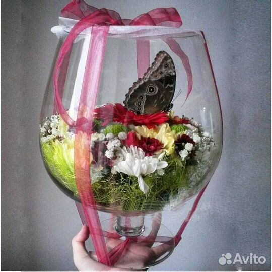 Композиции с живыми бабочками или фермы бабочек