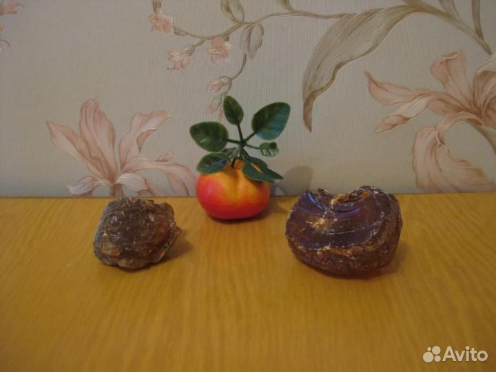 Лакомые куски - Жар птицы - Сесть на хвост