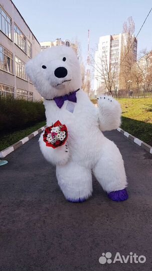 Белый мишка поздравление