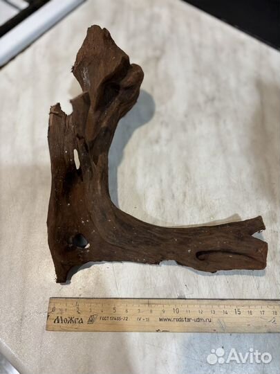 Продам карягу для террариума или аквариума