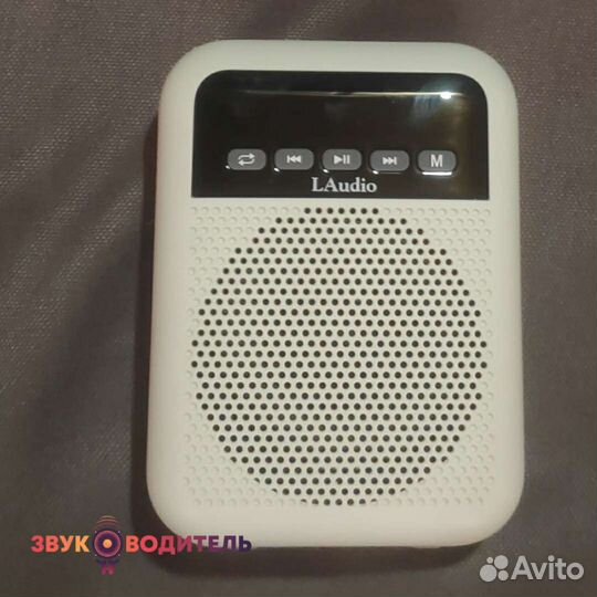 Переносной громкоговоритель LAudio WS-VA030