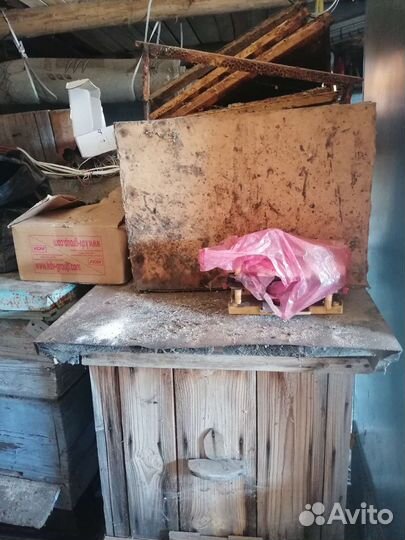 Пчелы и улья