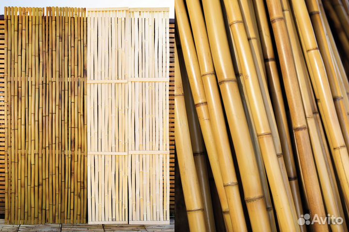 Бамбуковые стволы