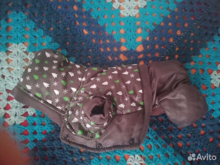Одежда для маленьких собак бу