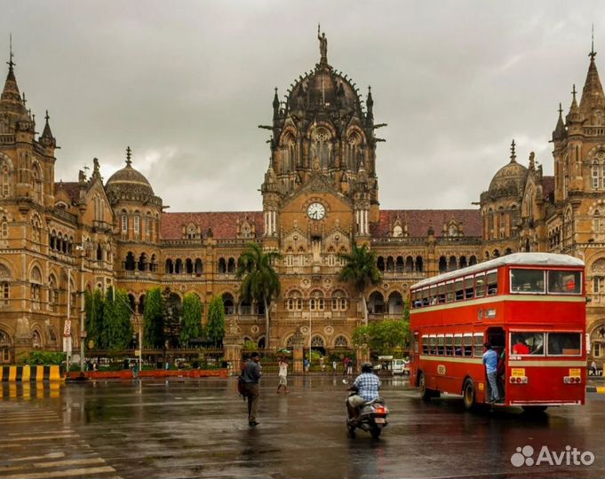 Турне в India 7 дней
