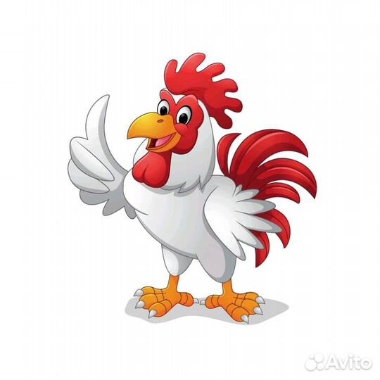 Упаковщики/ Фасовщики Бесплатный обед