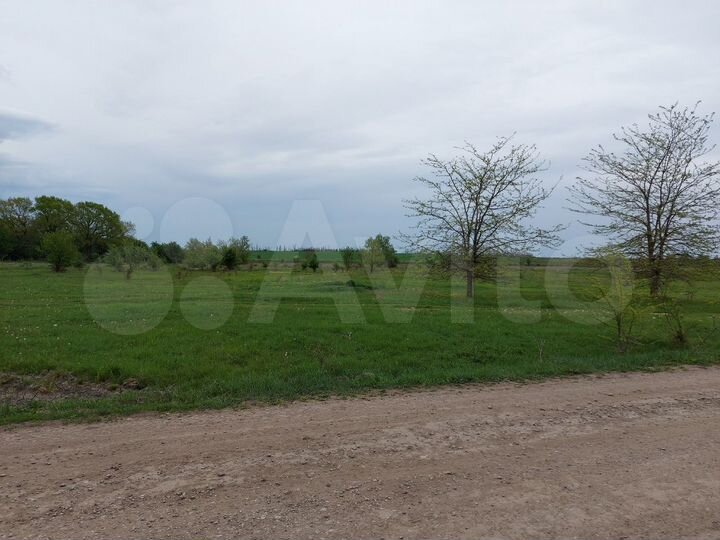 Участок 8 га (СНТ, ДНП)