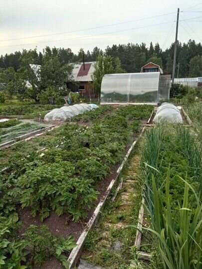 Участок 6 сот. (СНТ, ДНП)