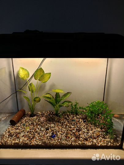Аквариум