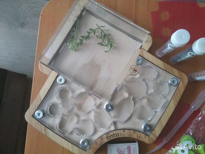 Формикарий