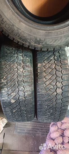 Gislaved NordFrost 100 195/65 R15