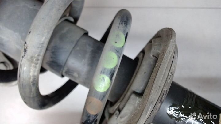 Амортизатор подвески Audi Q5, 2009