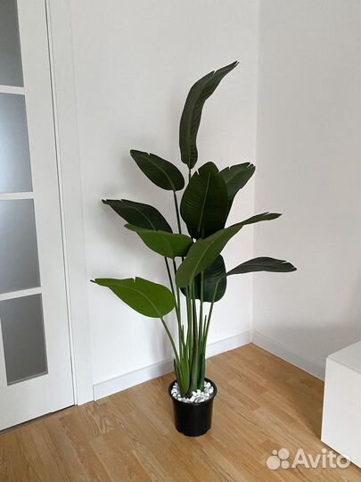 Искусственная стрелиция, банановая пальма 160 см