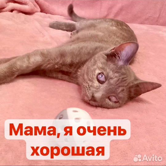Ласковый ангелочек Верочка