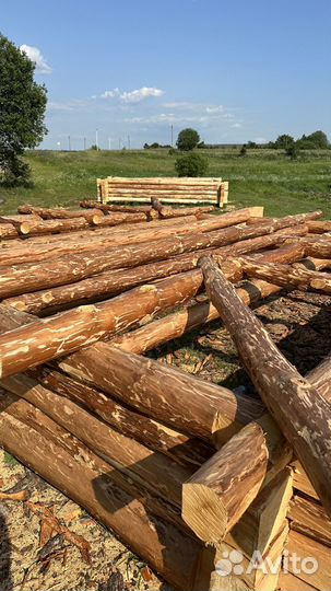 Срубы из бревна под заказ