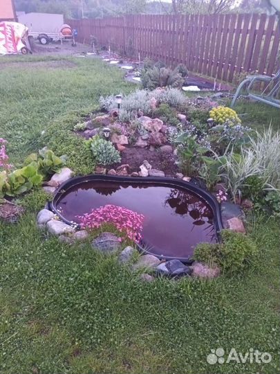 Растения для сада