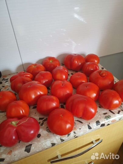 Помидоры свежие домашние