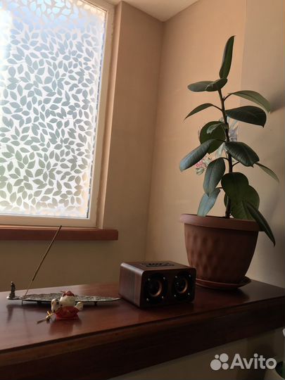 Аренда кабинета