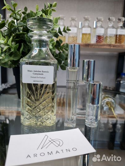 Marc-Antoine Barrois 