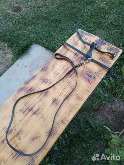 Шлейка для кошки