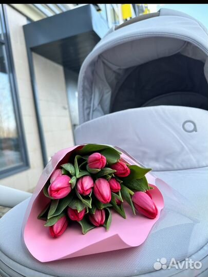 Коляска anex m type 2 в 1