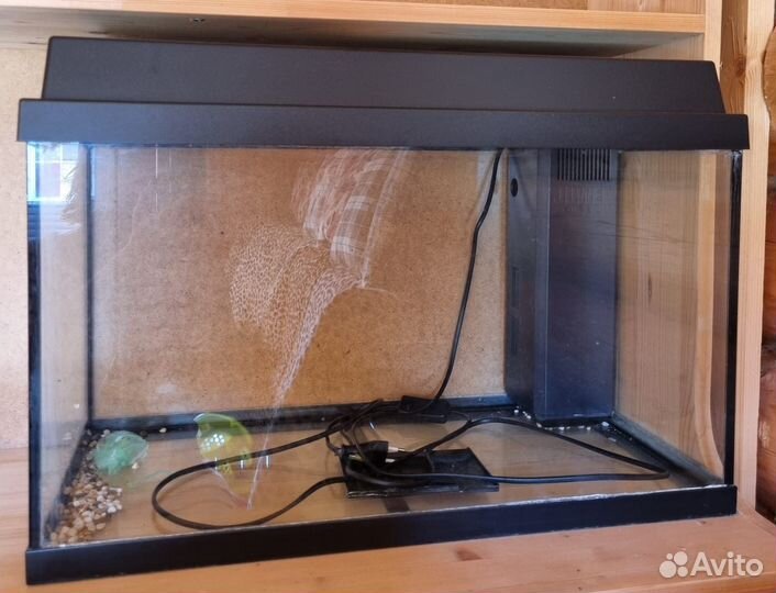 Аквариум с подарком