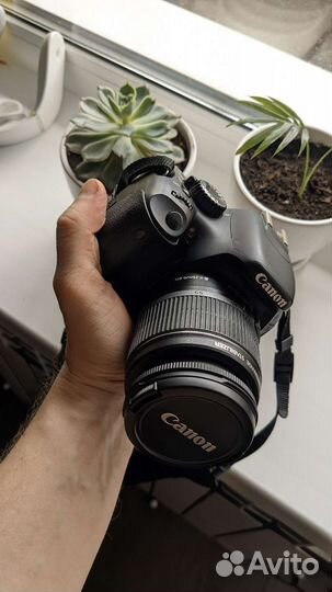 Фотоаппарат Canon EOS 550d