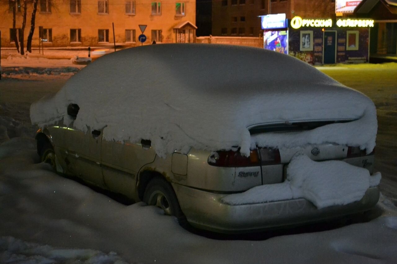 Nissan Sunny: фото владельца