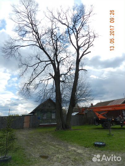 Спил деревьев, вырубка, корчёвка, расчистка полей