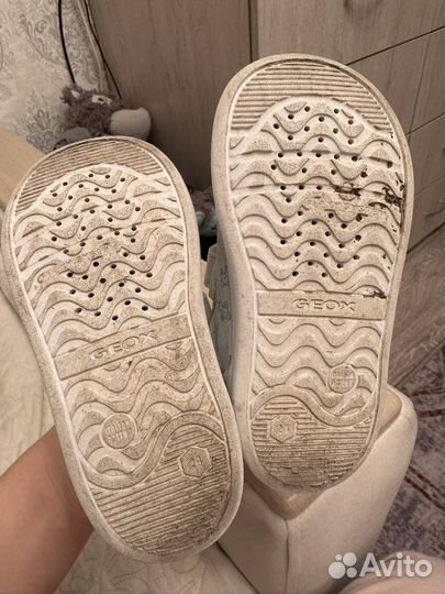 Кеды geox