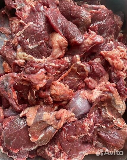 Говядина, мясо и субпродукты для собак