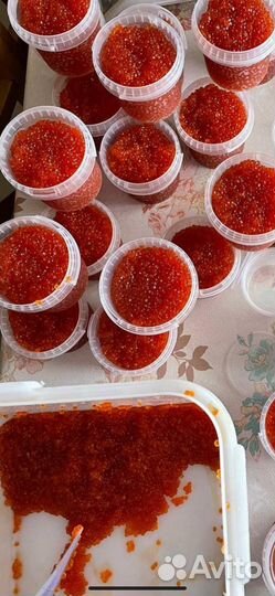 Икра красная, икра щуки, рыба сёмга