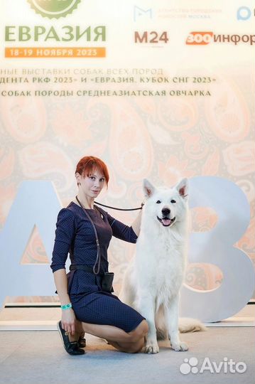 Хендлер