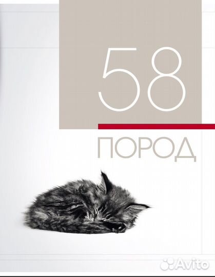 Энциклопедия Royal Canin кошки