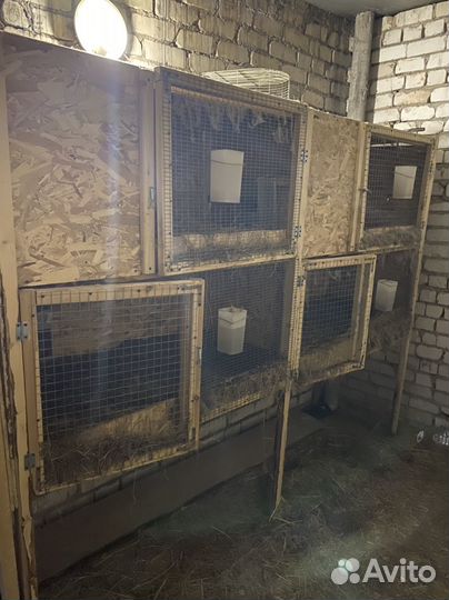 Клетки для кроликов