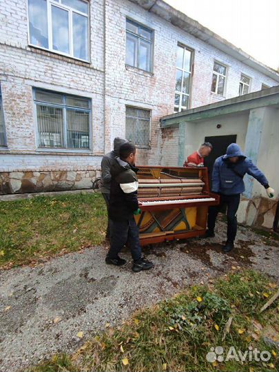 Грузоперевозки/Газель/Грузчики