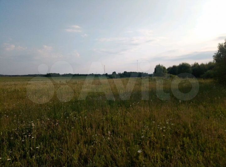 Участок 19,5 сот. (ИЖС)