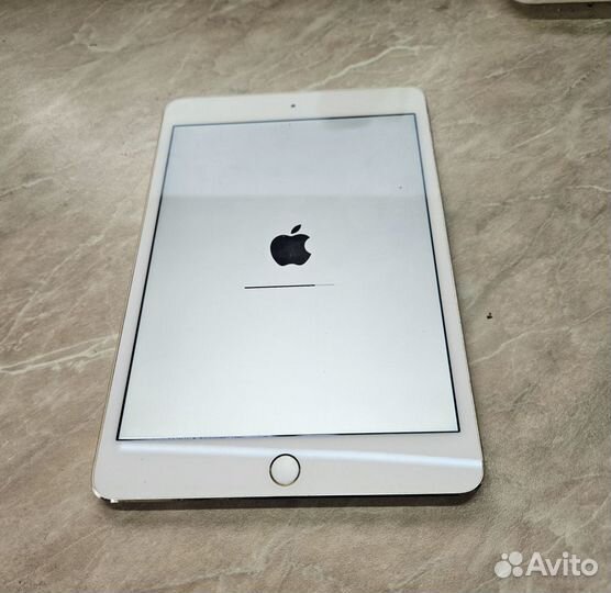 iPad mini 4 A1538