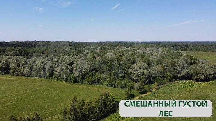 Участок 9,8 сот. (ИЖС)