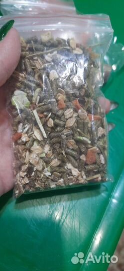 Клетка для джунгарского хомяка