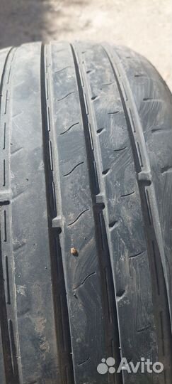 Windforce Catchfors UHP 195/55 R15 85V