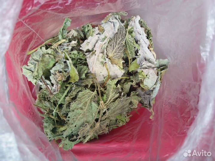 Крапива для волос