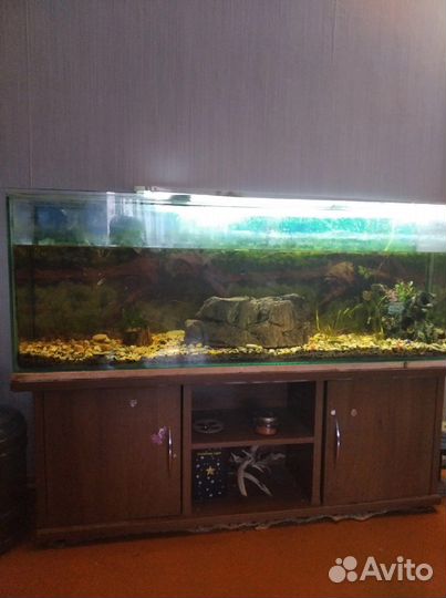 Аквариум с тумбой
