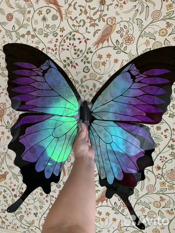 Крылья бабочки феи
