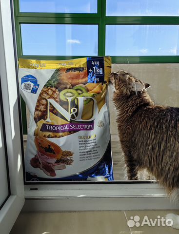 Farmina Neutered для стерил.кошек Фармина купить в Санкт-Петербурге ...