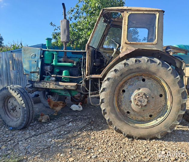 Трактор ЮМЗ 6, 2024